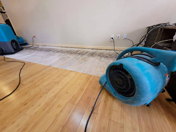 Professional Basement Flood Cleanup technician working in Valley Falls, NY